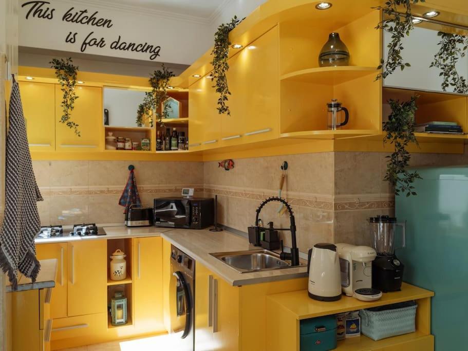 Terrasse Des Plongeurs Apartment Букурещ Екстериор снимка