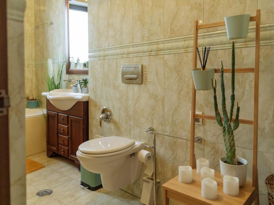Terrasse Des Plongeurs Apartment Букурещ Екстериор снимка