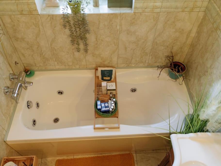 Terrasse Des Plongeurs Apartment Букурещ Екстериор снимка
